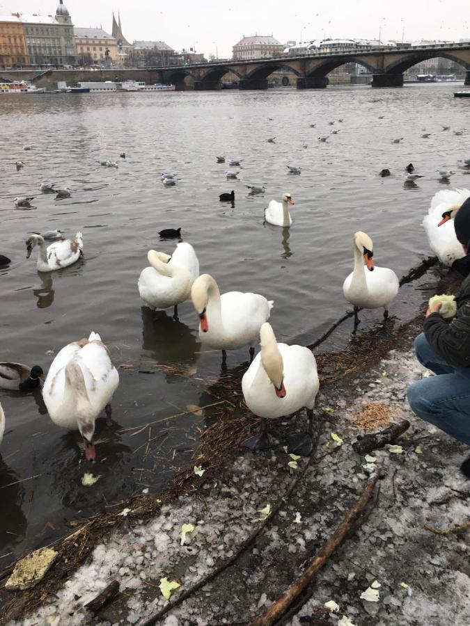Apartment Vltava Πράγα Εξωτερικό φωτογραφία